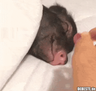 So wacht man doch gerne auf...