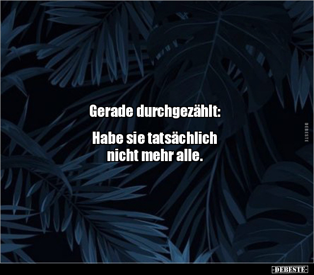 Gerade durchgezählt:  Habe sie tatsächlich nicht mehr alle.. - Lustige Bilder | DEBESTE.de