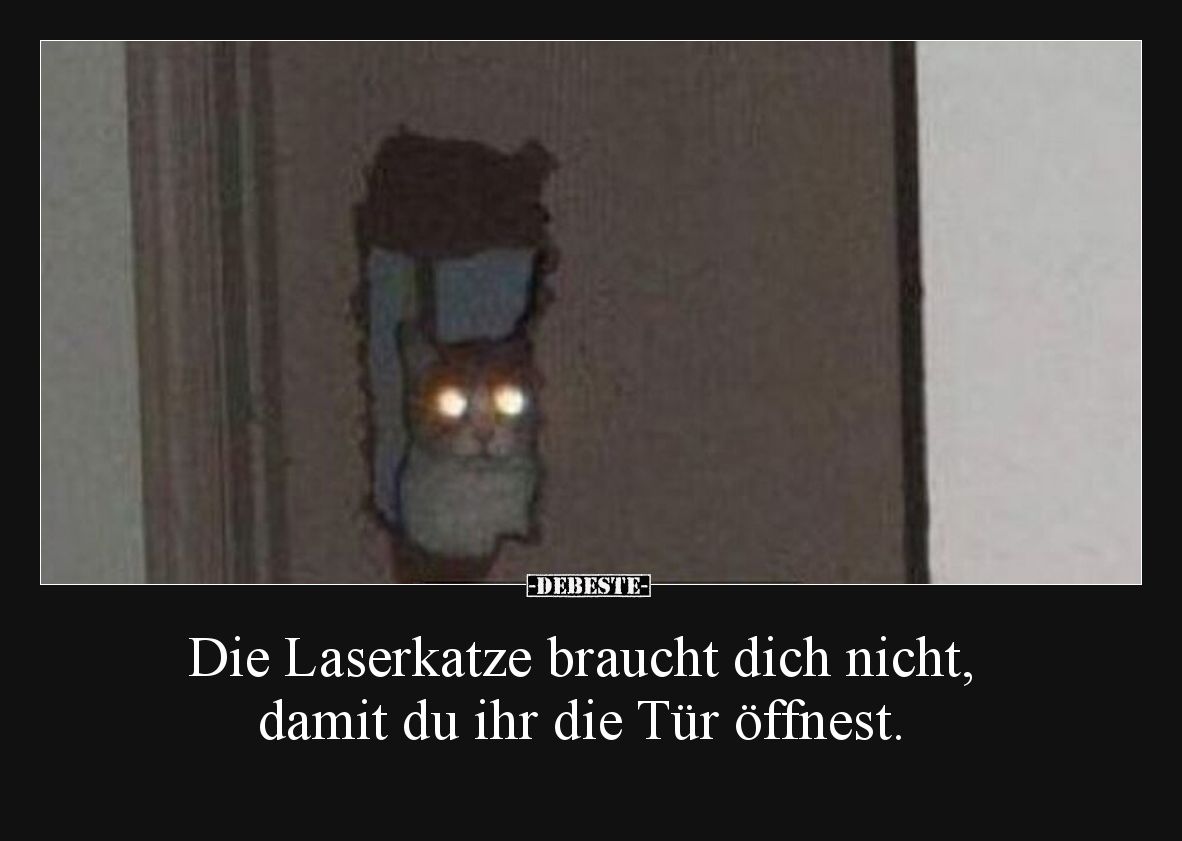Die Laserkatze braucht dich nicht, damit du ihr die Tür öffnest.