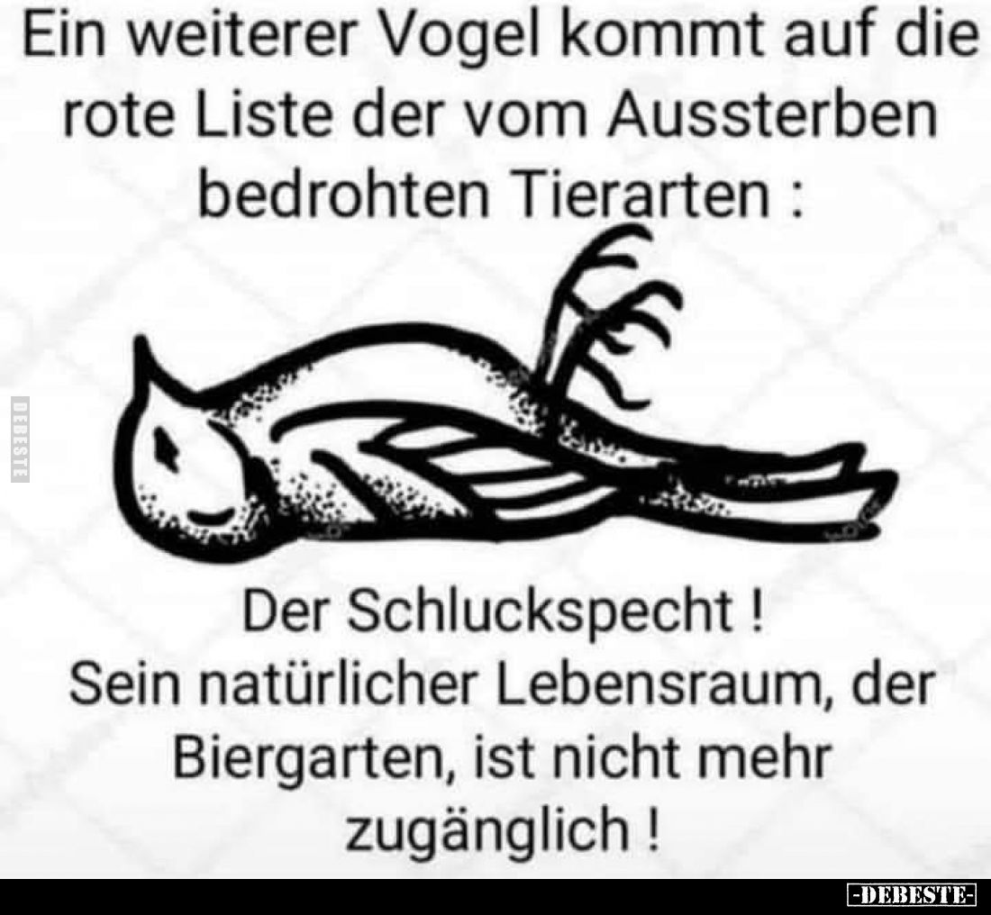 Ein weiterer Vogel kommt auf die rote Liste der vom Aussterben bedrohten Tierarten:
Der Schluckspecht! Sein natürlicher Lebe...