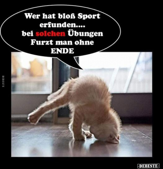 Wer hat bloß Sport erfunden.... bei solchen Übungen Furzt.. - Lustige Bilder | DEBESTE.de