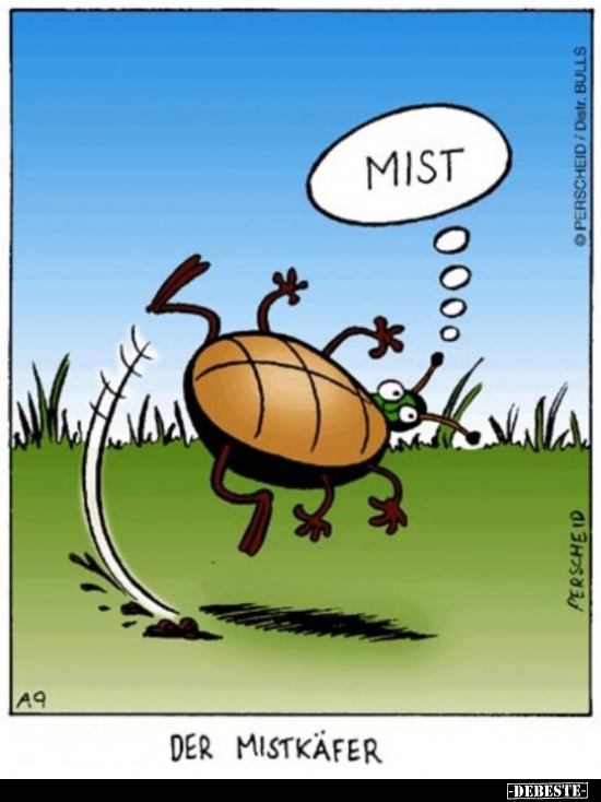 Der Mistkäfer..