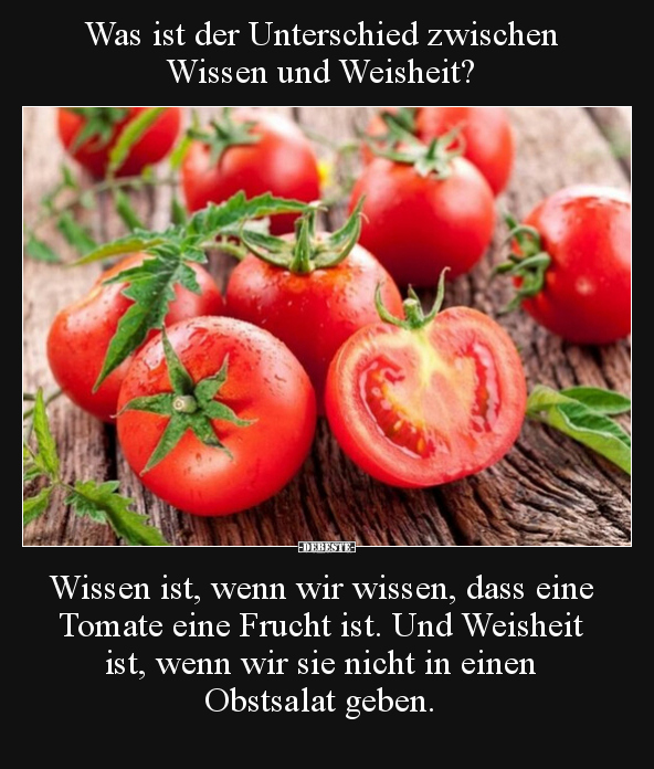 Was ist der Unterschied zwischen Wissen und Weisheit?.. - Lustige Bilder | DEBESTE.de