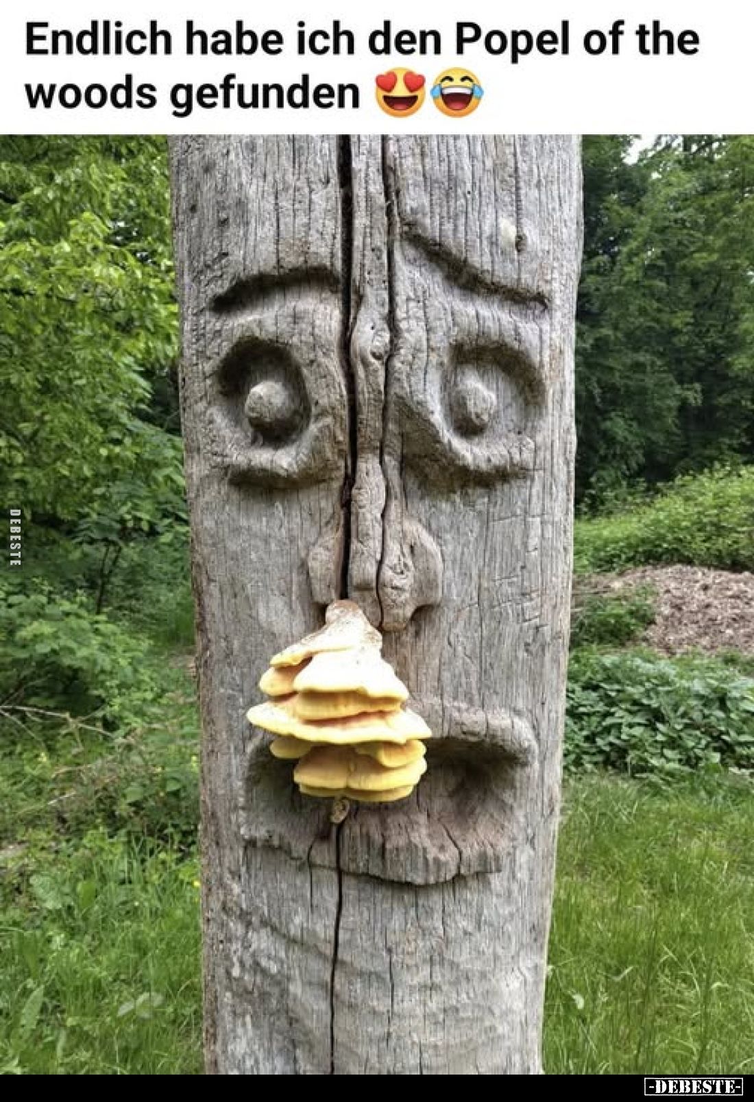 Endlich habe ich den Popel of the woods gefunden.