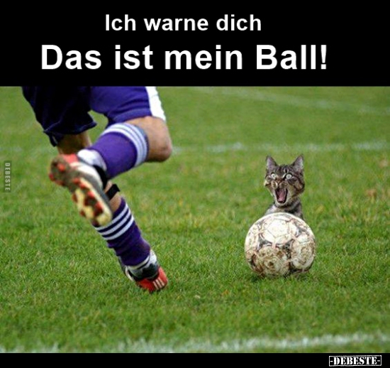Ich warne dich... Das ist mein Ball!.. - Lustige Bilder | DEBESTE.de