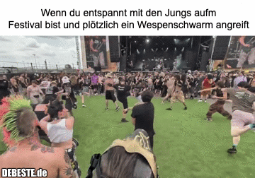 Wenn du entspannt mit den Jungs aufm Festival bist und plötzlich ein Wespenschwarm angreift.