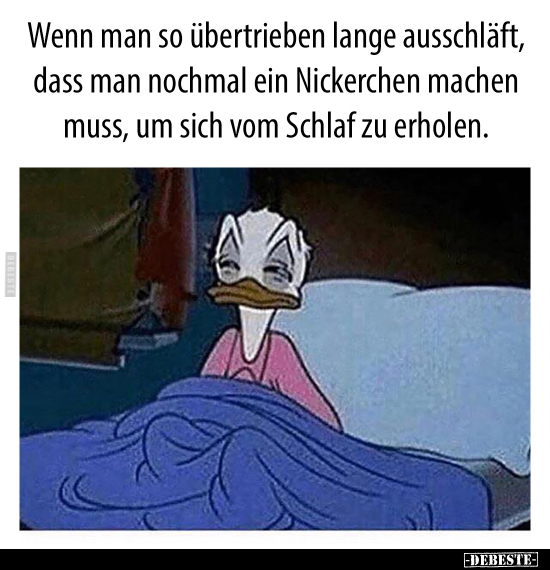 Lustige Bilder zum Thema: Lang