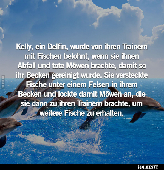 Kelly, ein Delfin, wurde von ihren Trainern mit Fischen.. - Lustige Bilder | DEBESTE.de