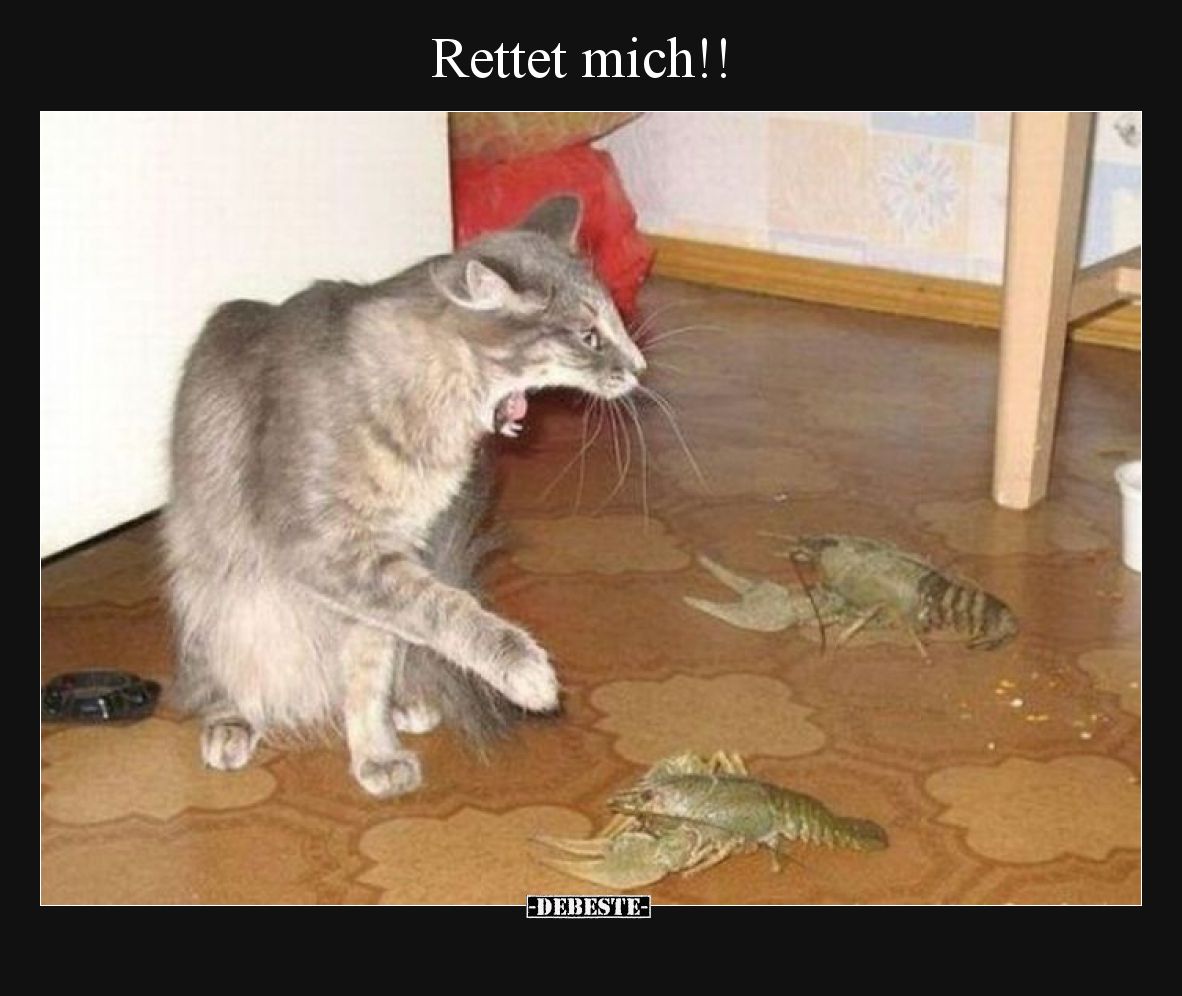 Rettet mich!!