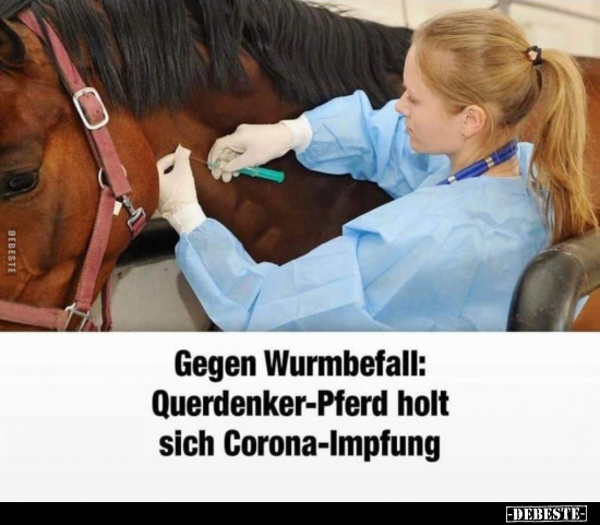 Gegen Wurmbefall: Querdenker-Pferd holt sich.. - Lustige Bilder | DEBESTE.de