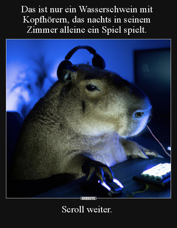 Das ist nur ein Wasserschwein mit Kopfhörern, das nachts.. - Lustige Bilder | DEBESTE.de