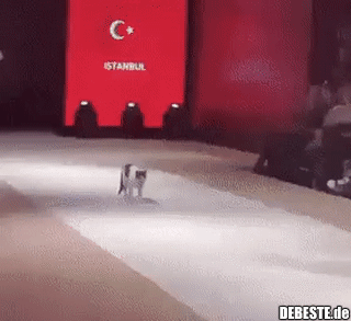 Catwalk..