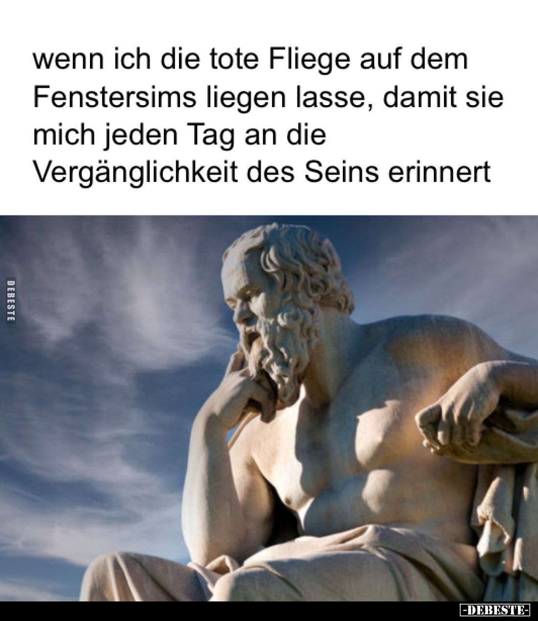 Wenn ich die tote Fliege auf dem Fenstersims liegen lasse, damit sie mich jeden Tag an die Vergänglichkeit des Seins erinnert...