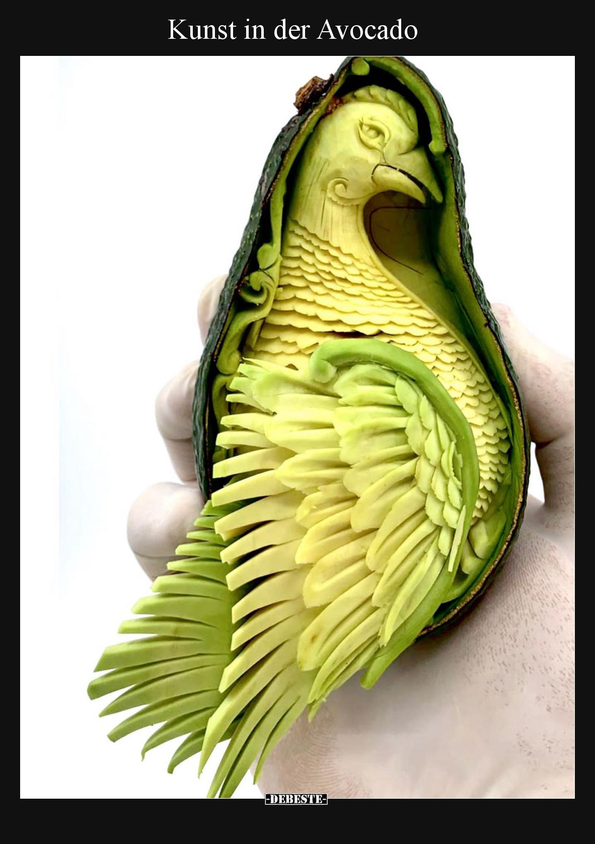 Kunst in der Avocado
