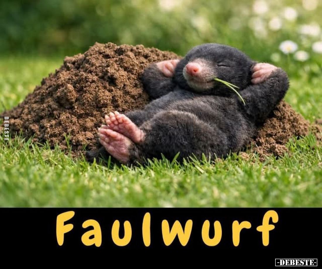 Faulwurf