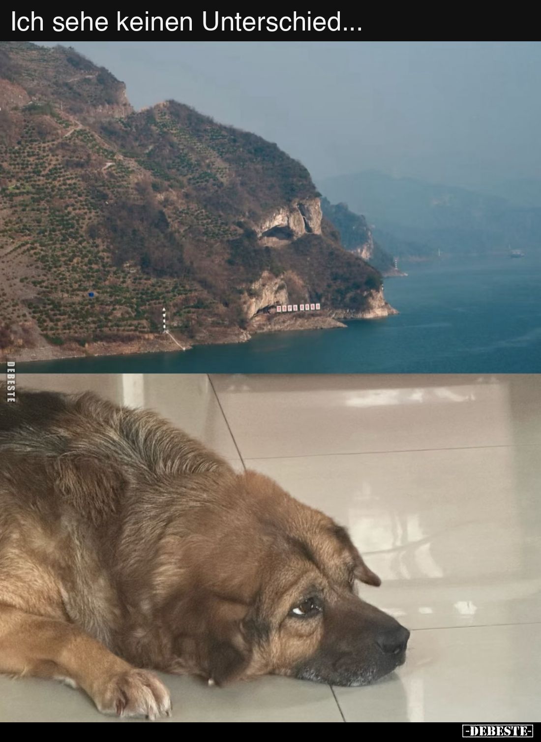 Ich sehe keinen Unterschied...