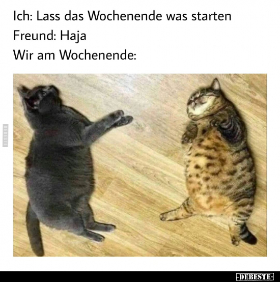 Ich: Lass das Wochenende was starten.. - Lustige Bilder | DEBESTE.de