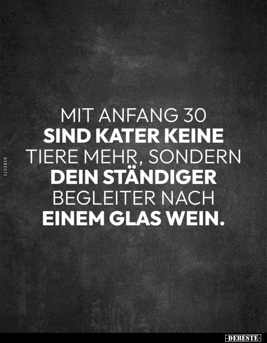 Mit Anfang 30 sind Kater keine Tiere mehr.. - Lustige Bilder | DEBESTE.de