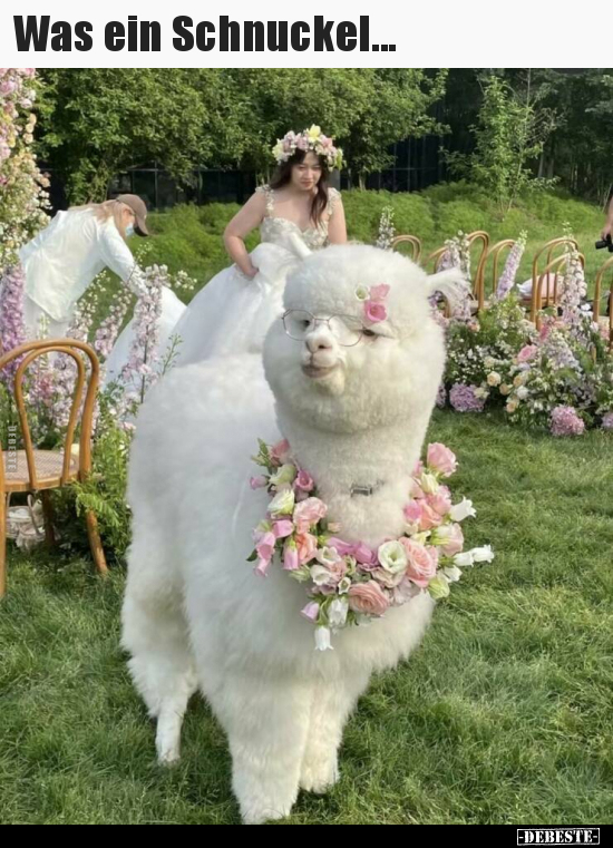 Was ein Schnuckel...
