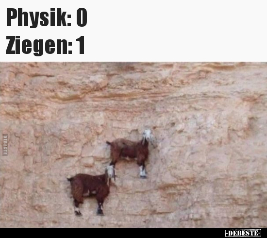 Physik: 0 - Ziegen: 1.. - Lustige Bilder | DEBESTE.de