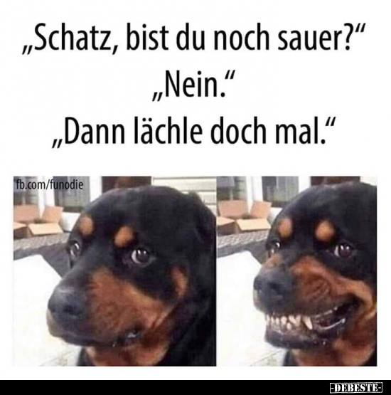"Schatz, bist du noch sauer?"