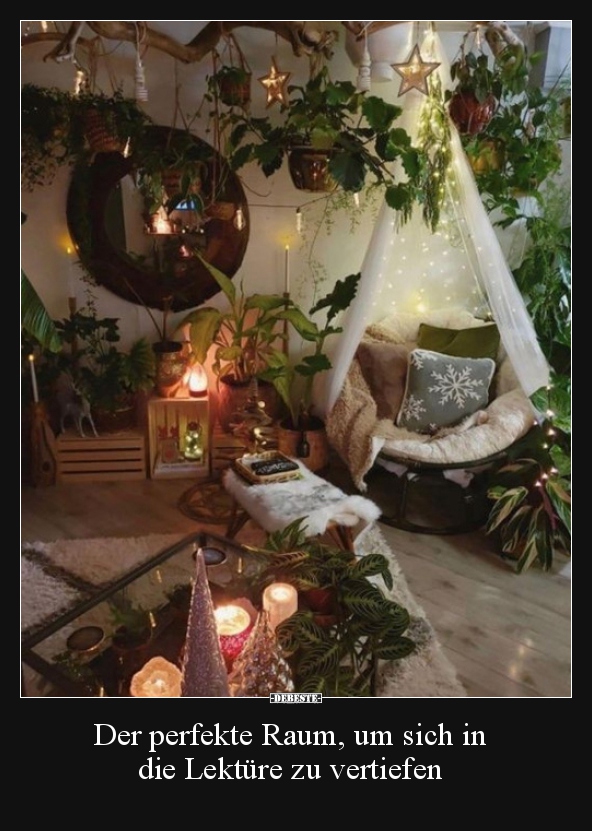 Der perfekte Raum, um sich in die Lektüre zu vertiefen..