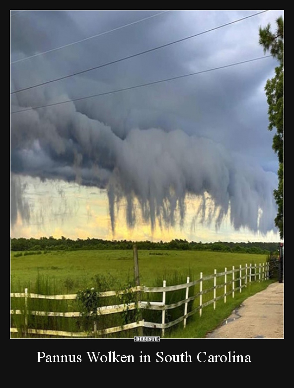 Pannus Wolken in South Carolina.. - Lustige Bilder | DEBESTE.de
