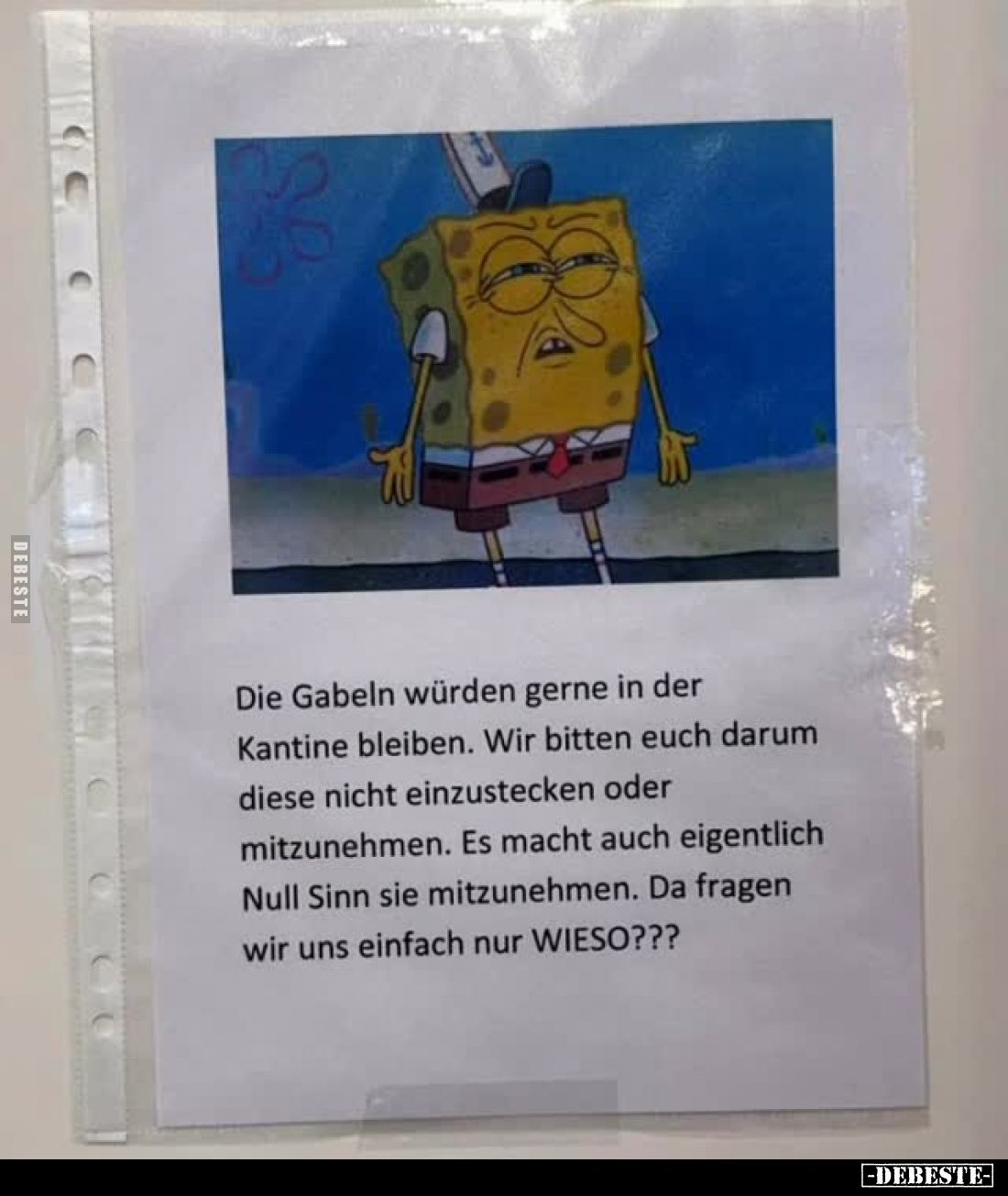 Bild