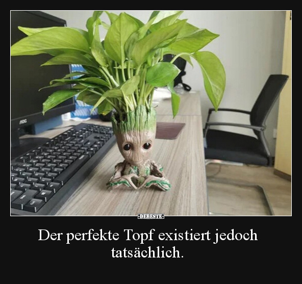 Der perfekte Topf existiert jedoch tatsächlich... - Lustige Bilder | DEBESTE.de