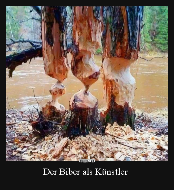 Der Biber als Künstler.. - Lustige Bilder | DEBESTE.de
