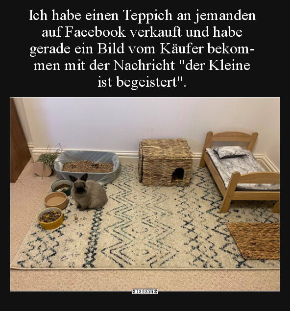 Ich habe einen Teppich an jemanden auf Facebook verkauft.. - Lustige Bilder | DEBESTE.de