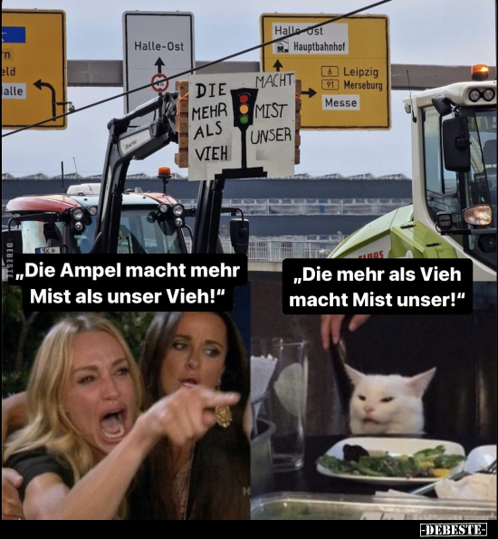 "Die Ampel macht mehr Mist als unser Vieh!".. - Lustige Bilder | DEBESTE.de