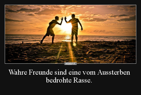 Wahre Freunde sind eine vom Aussterben bedrohte Rasse... - Lustige Bilder | DEBESTE.de