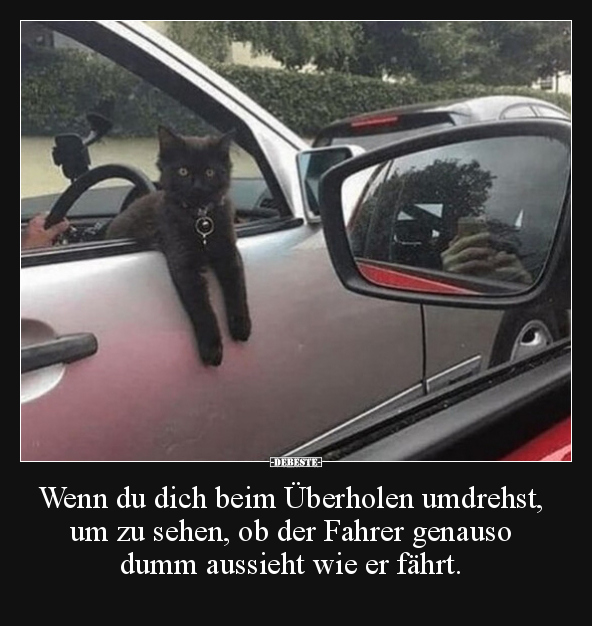 Wenn du dich beim Überholen umdrehst, um zu sehen, ob der.. - Lustige Bilder | DEBESTE.de