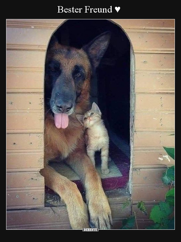 Bester Freund ♥..