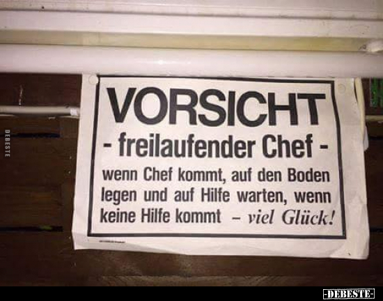 VORSICHT - freilaufender Chef.. - Lustige Bilder | DEBESTE.de