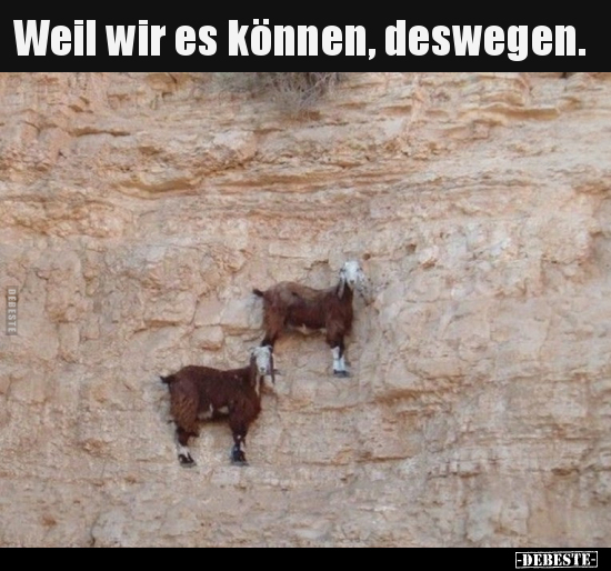 Weil wir es können, deswegen...