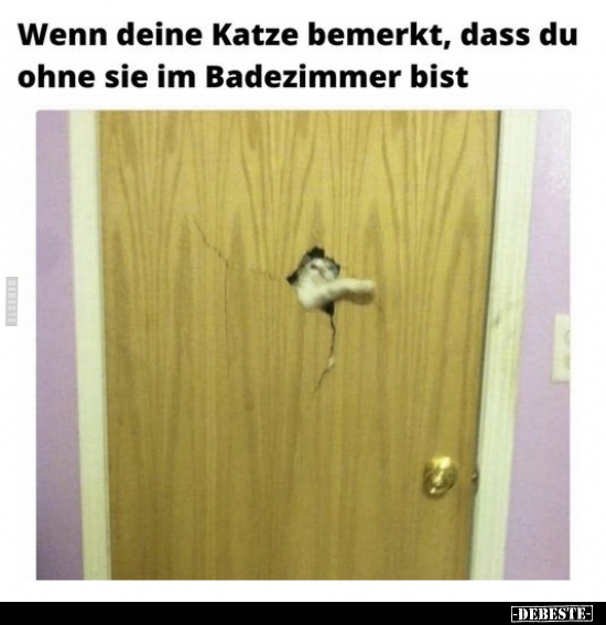Wenn deine Katze bemerkt, dass du ohne sie im Badezimmer.. - Lustige Bilder | DEBESTE.de