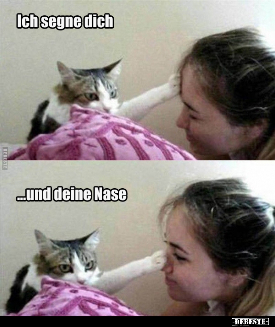 Ich segne dich... und deine Nase..