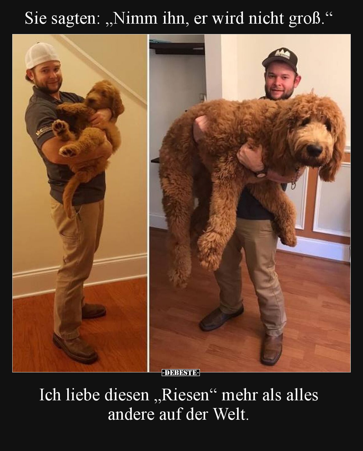 Sie sagten: „Nimm ihn, er wird nicht groß.“
Ich liebe diesen „Riesen“ mehr als alles andere auf der Welt.