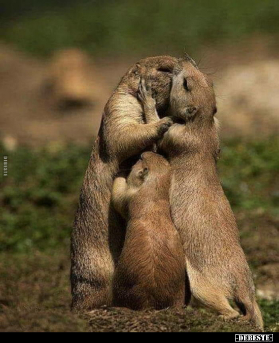  - Lustige Bilder | DEBESTE.de