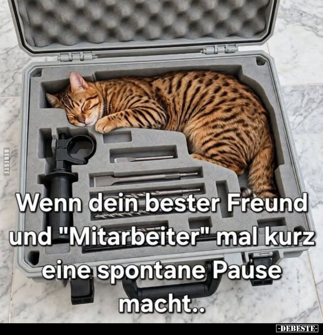 Wenn dein bester Freund
und "Mitarbeiter" mal kurz
eine spontane Pause
macht..