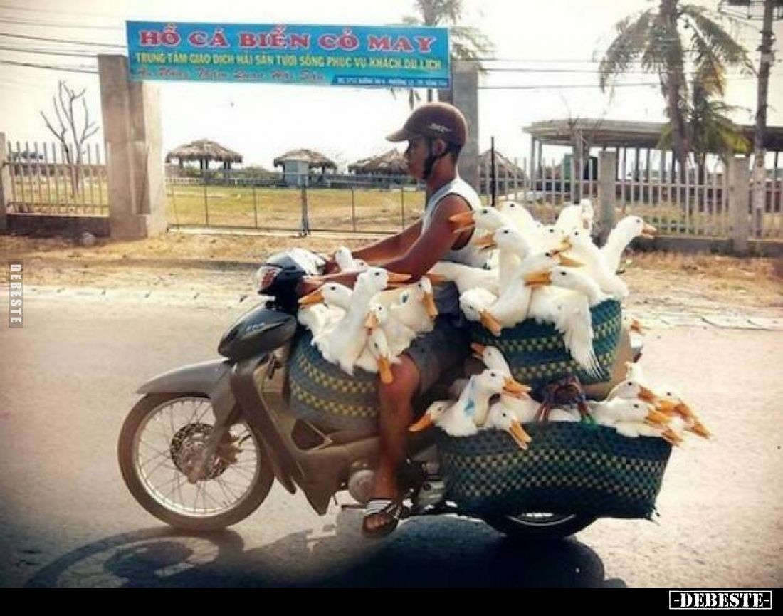  - Lustige Bilder | DEBESTE.de