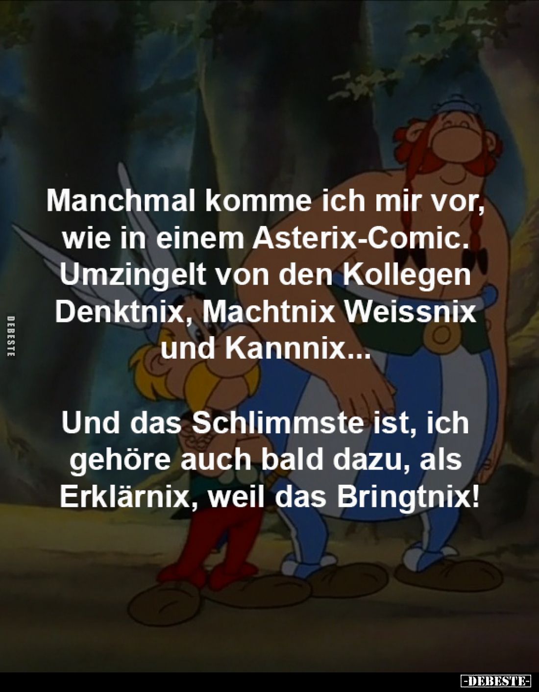 Manchmal komme ich mir vor, 
wie in einem Asterix-Comic. 
Umzingelt von den Kollegen 
Denktnix, Machtnix Weissnix 
und Ka...