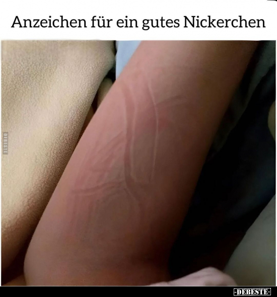 Anzeichen für ein gutes Nickerchen.. - Lustige Bilder | DEBESTE.de