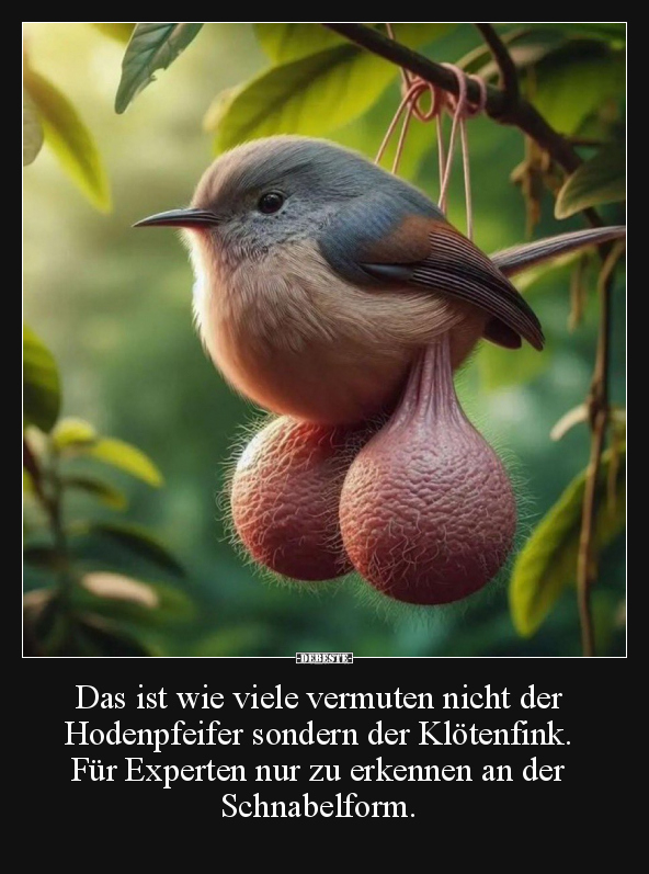 Das ist wie viele vermuten nicht der Hodenpfeifer.. - Lustige Bilder | DEBESTE.de