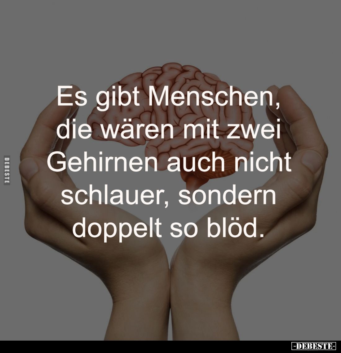 Es gibt Menschen, 
die wären mit zwei 
Gehirnen auch nicht 
schlauer, sondern 
doppelt so blöd.