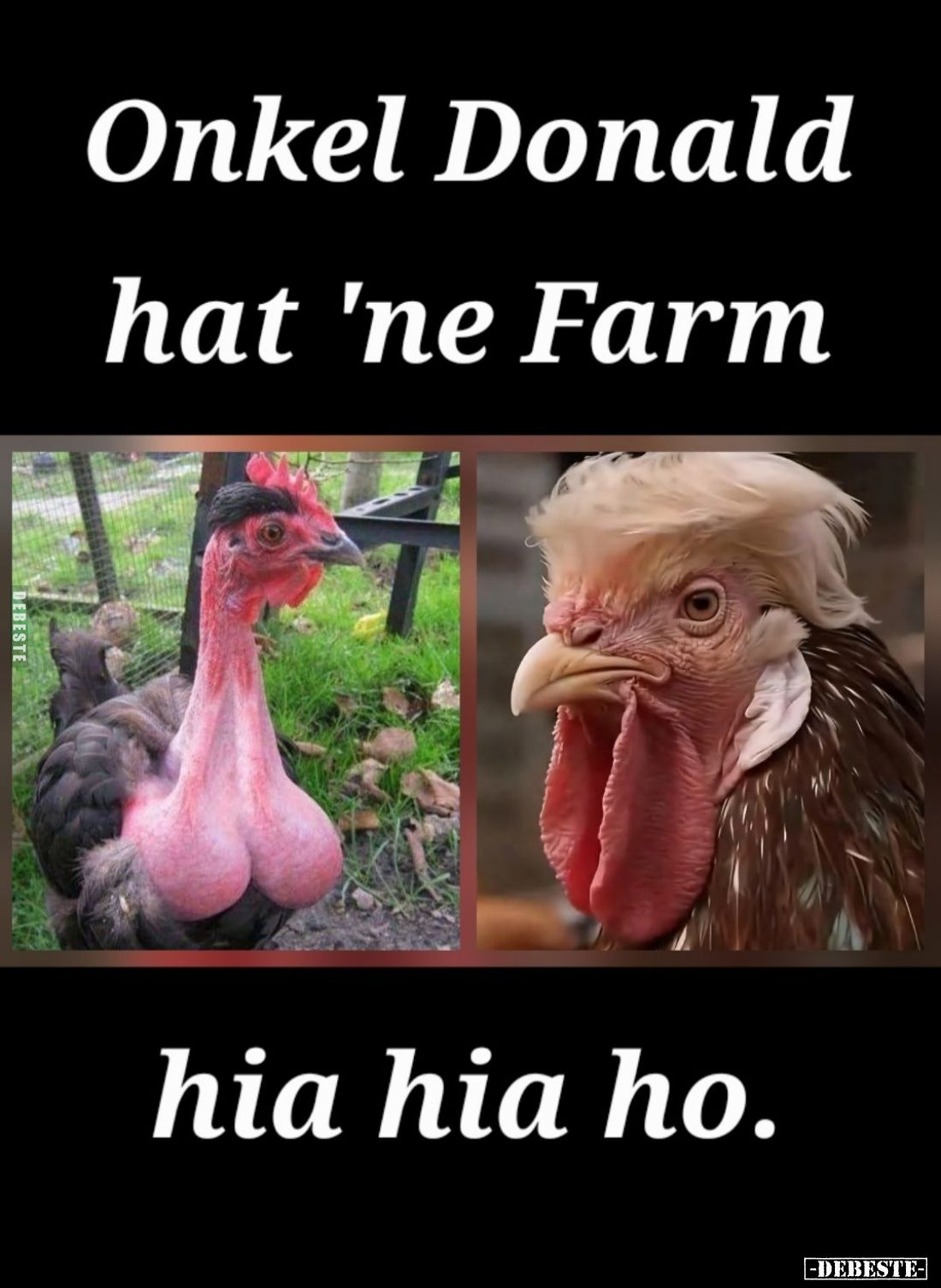 Onkel Donald hat 'ne Farm:
hia hia ho.