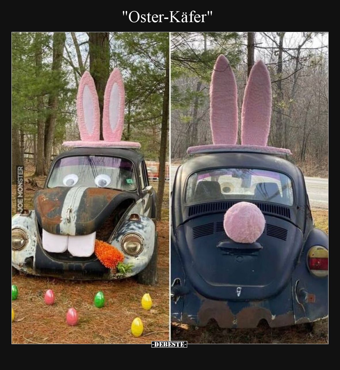 Oster-Käfer