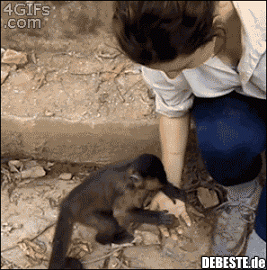 Ich brauche deine Hilfe..